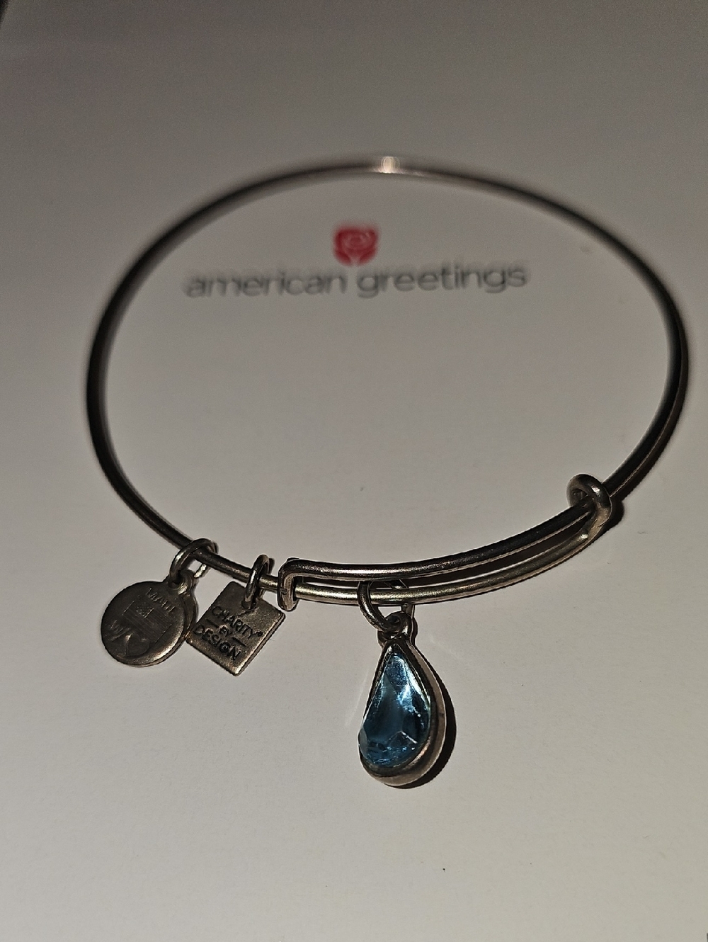Alex and Ani Living Water Charm Bangle Silver Bracelet